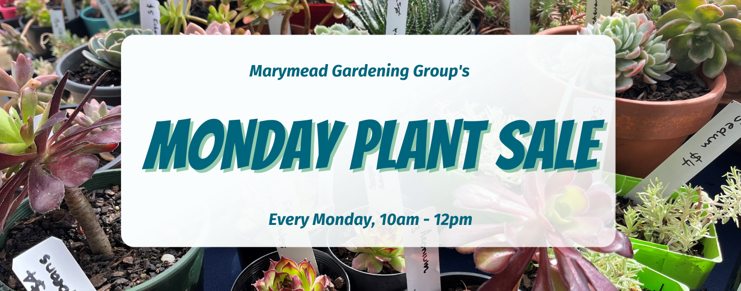 Monday Plant Sale