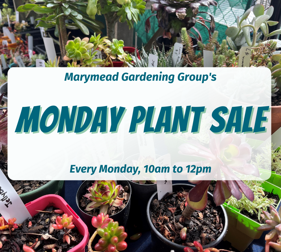 Monday Plant Sales