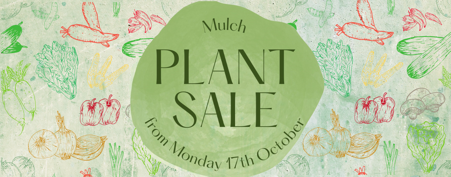 Mulch Plant and Seedling Sale