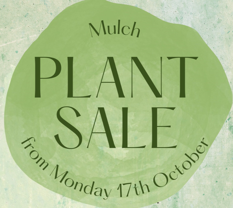 Mulch Plant Sale 